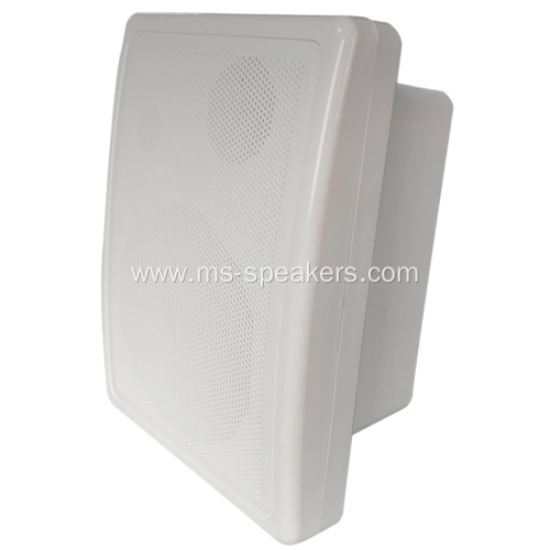 Professional 6.5 inch waterproof HiFi Wall Speaker